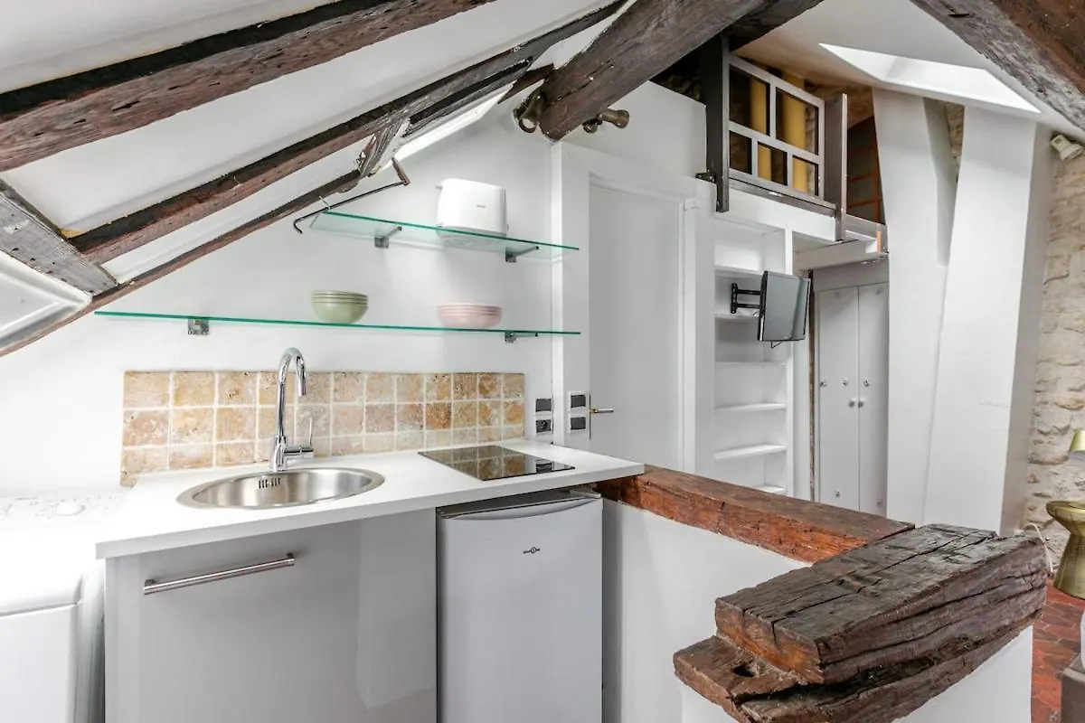 Appartement Studio Sous Les Poutres A Parijs